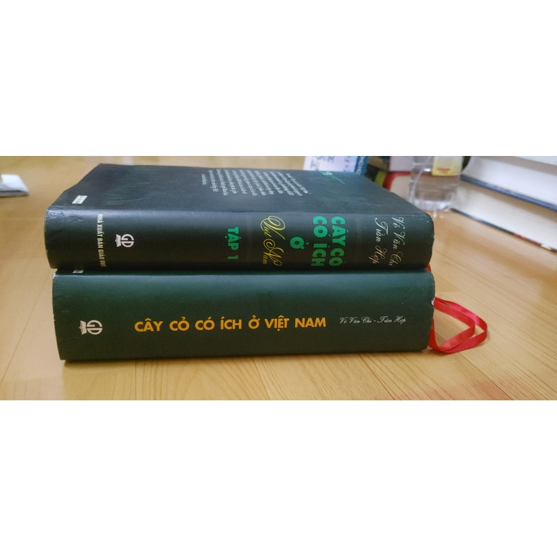 CÂY CỎ CÓ IT Việt Nam  502455