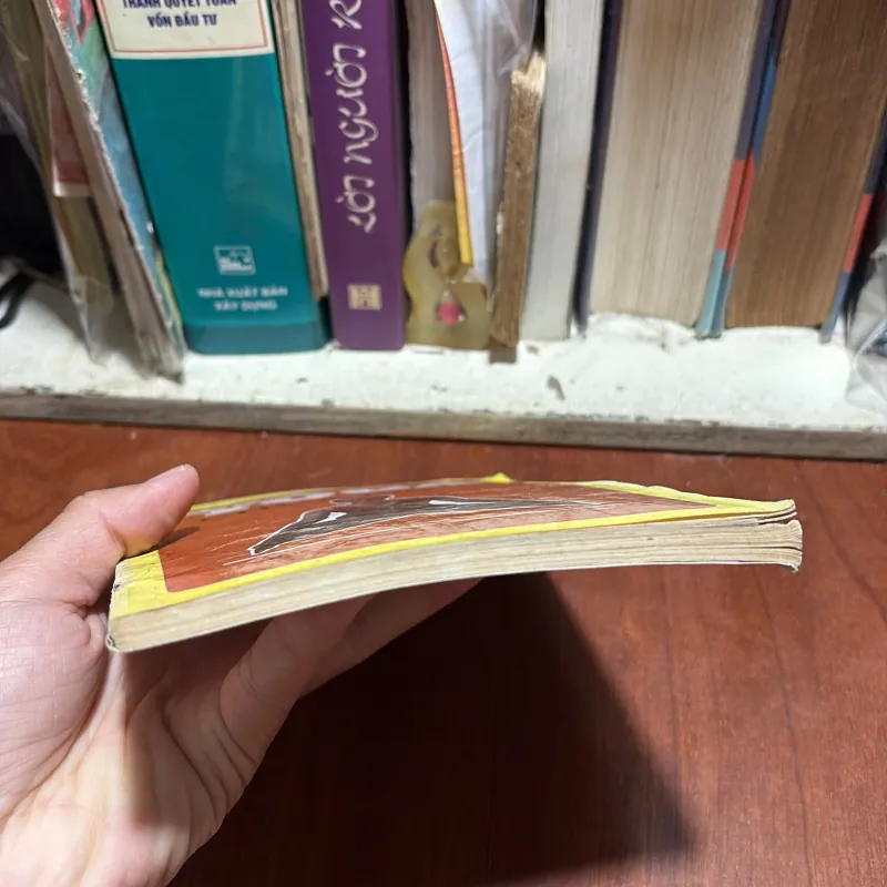 II Sức Khoẻ: Yoga Chữa Bệnh - Dr. Phulgenda Sinha - 1994 1012816