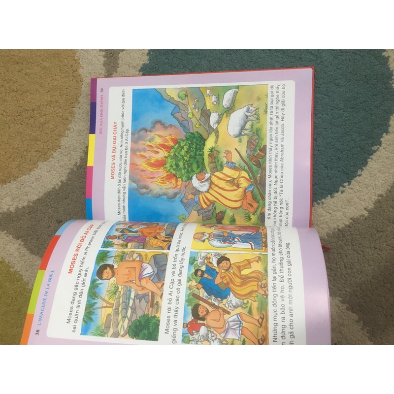Bức Họa Kinh Thánh (Bìa Cứng) 88060