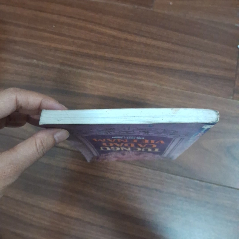 Tục ngữ ca dao việt nam 518398