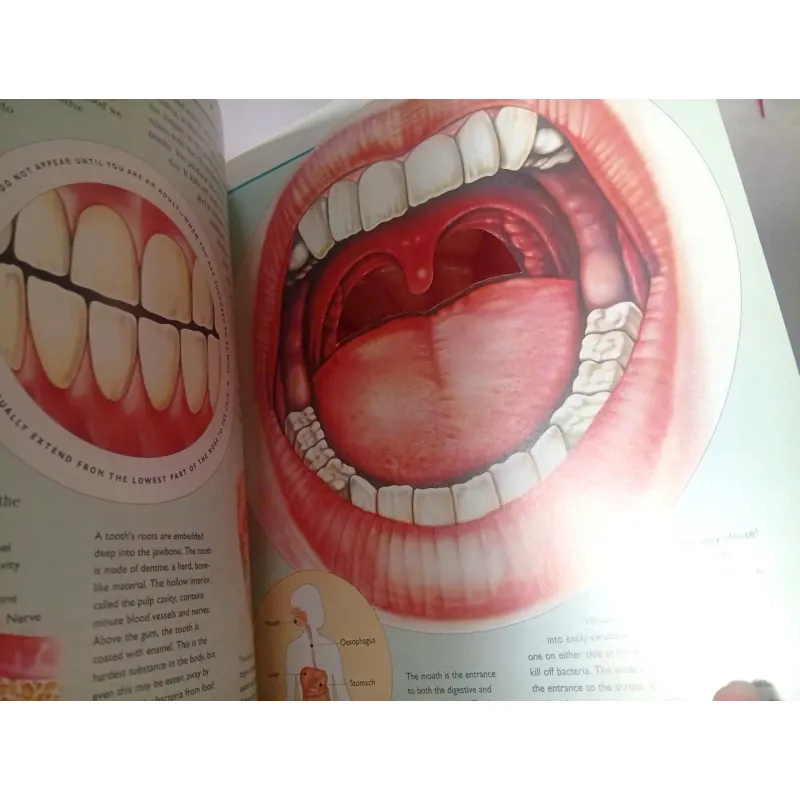 The Incredible Journey Through the Human Body 1002083