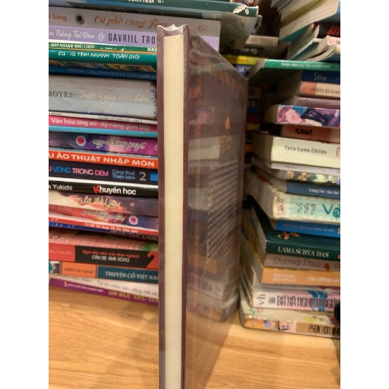 Gương phong tục -Đoàn Duy Bình 786070