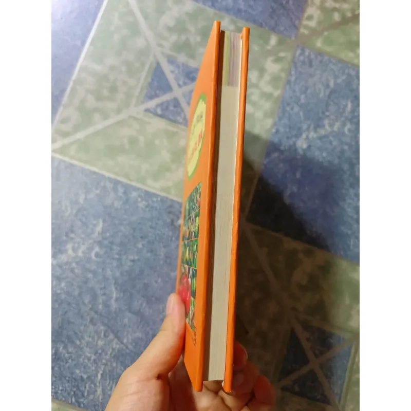 Từ điển tranh về các loại củ, quả 1001158