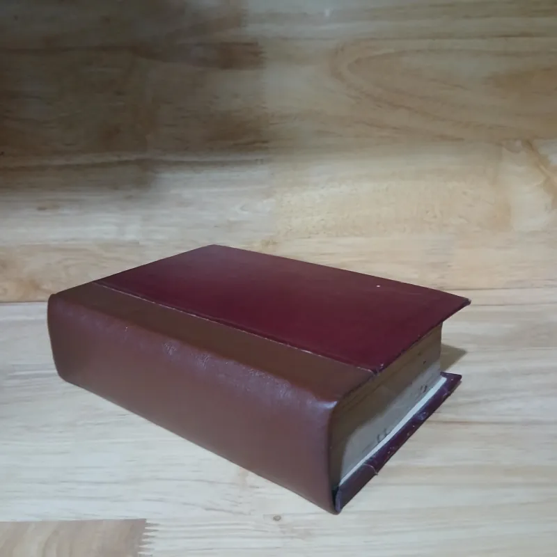 TỘI ÁC VÀ HÌNH PHẠT (NGUỒN SÁNG 1973) - DOSTOIEVSKI, LÝ QUỐC SINH dịch 1025196