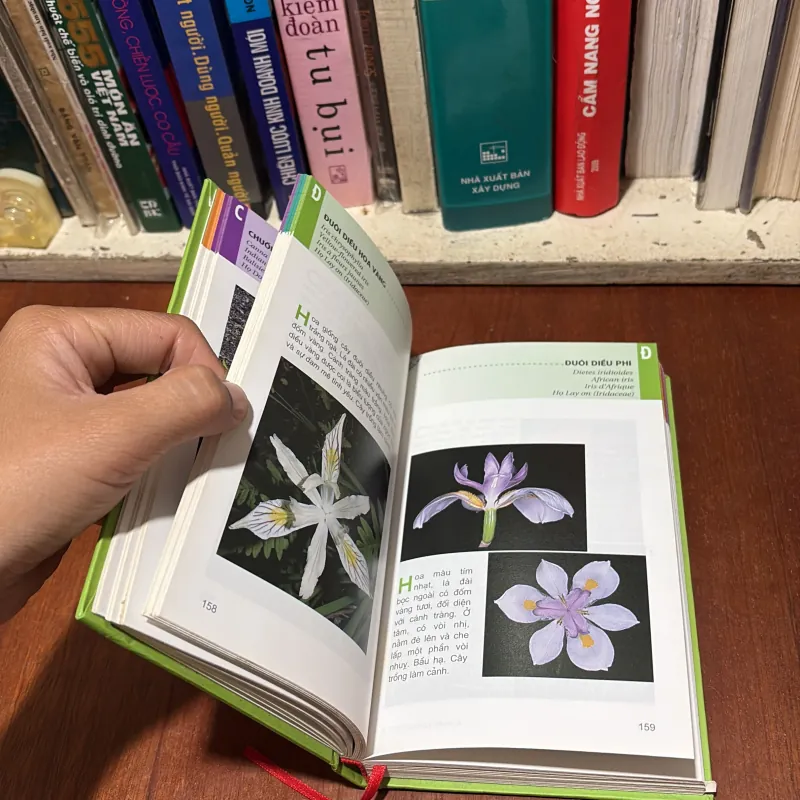 II Cây Cảnh: Từ Điển Tranh Về Các Loài Hoa - Lê Quang Long - 2006 755406