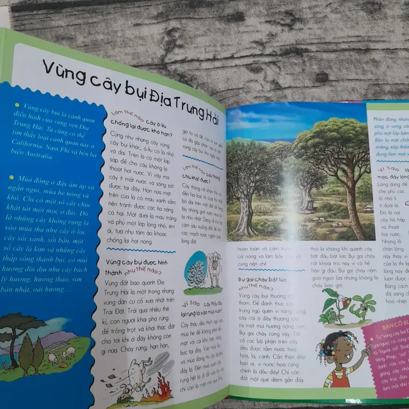 Sách màu về Thế giới tự nhiên dành cho thiếu nhi. Ý tưởng Emilie Beaumont. Tố Diễm dịch 707538