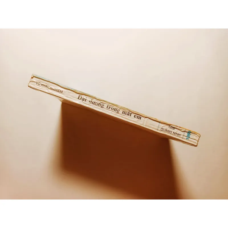 Đại Dương Trong Mắt Em - Võ Khắc Nghiêm 747227