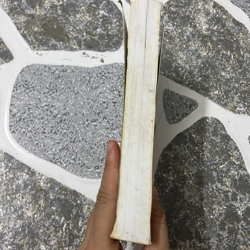 Tập huấn chuyên sâu Luật giao thông đường bộ 478052