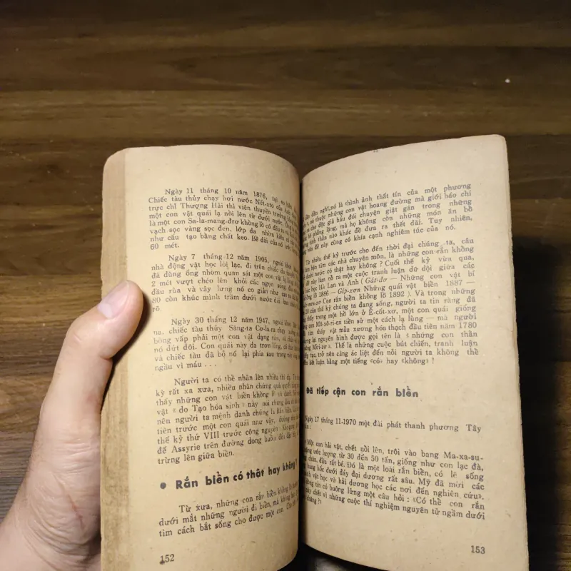 Các Con Vật Trên Rừng Dưới Biển - Đoàn Giỏi 1022201