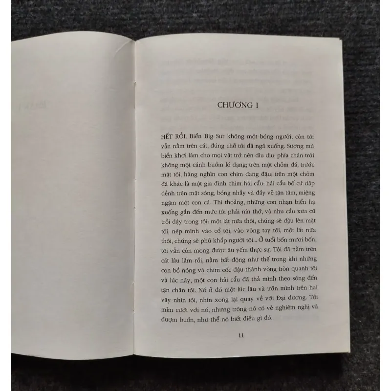 Lời Hứa Lúc Bình Minh- Romain Gary.- Giải Goncourt 1025549