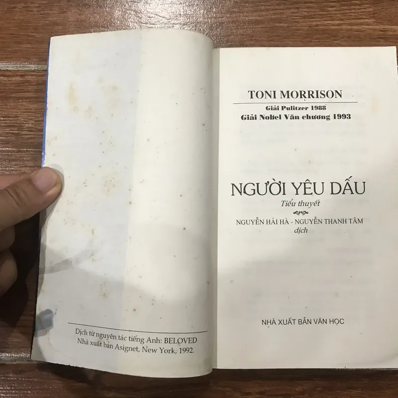 Người yêu dấu (8) 323047