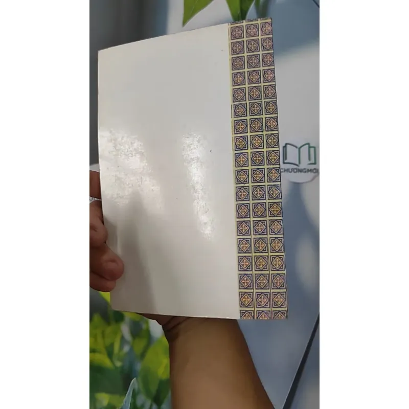 Truyện Kiều - Vũ Hữu Tiềm bình giải, chú thích và minh hoạ - Nguyễn Du 798331