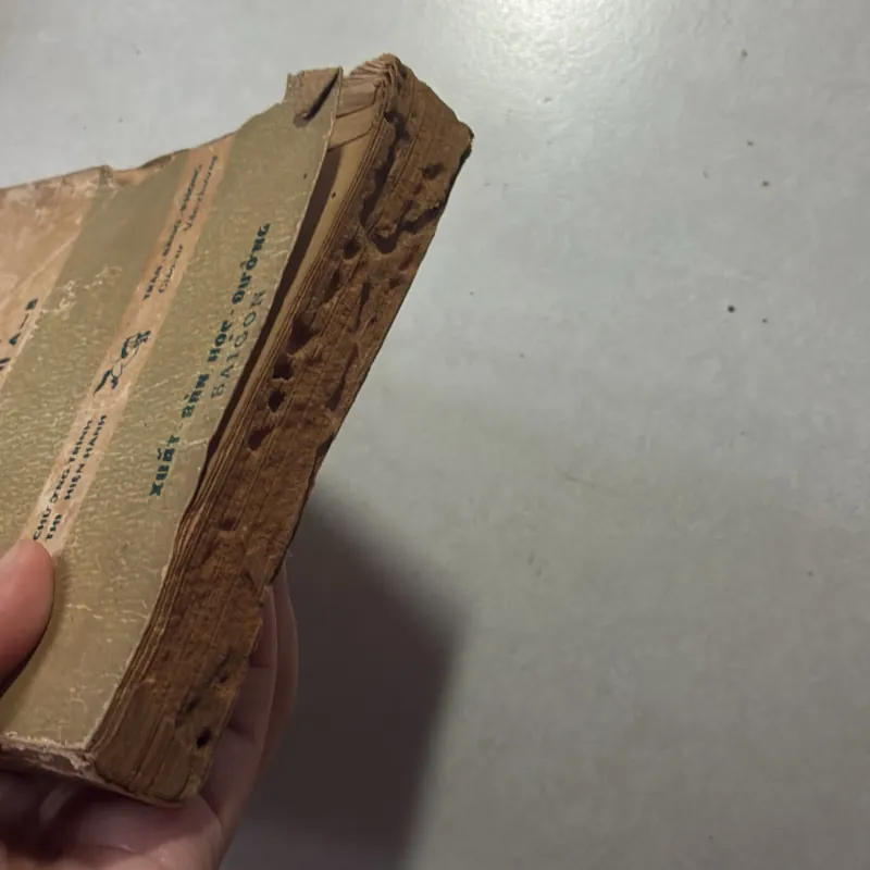 Giảng luận Quốc văn Đệ nhị A—B - Trần Bằng Phong (sách trước 75) 745260