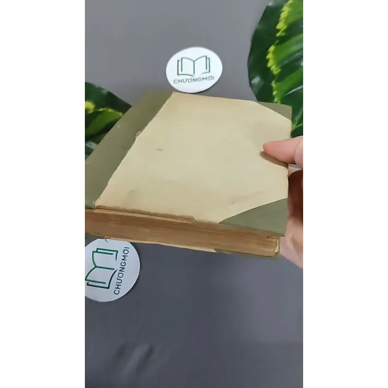 Trà Hoa Nữ 604659