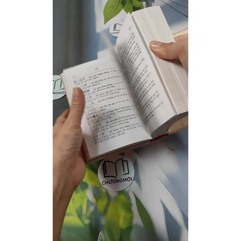 Từ Điển Thành Ngữ Hoa - Việt 749406