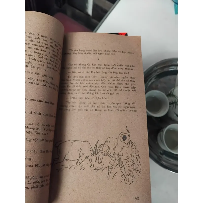 Quê nội tiểu thuyết thiếu nhi của nhà văn Võ Quảng 702693