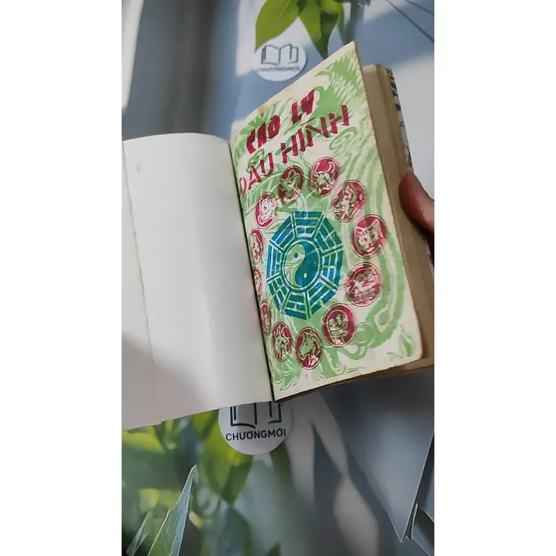 Cao Ly Đầu Hình 928568