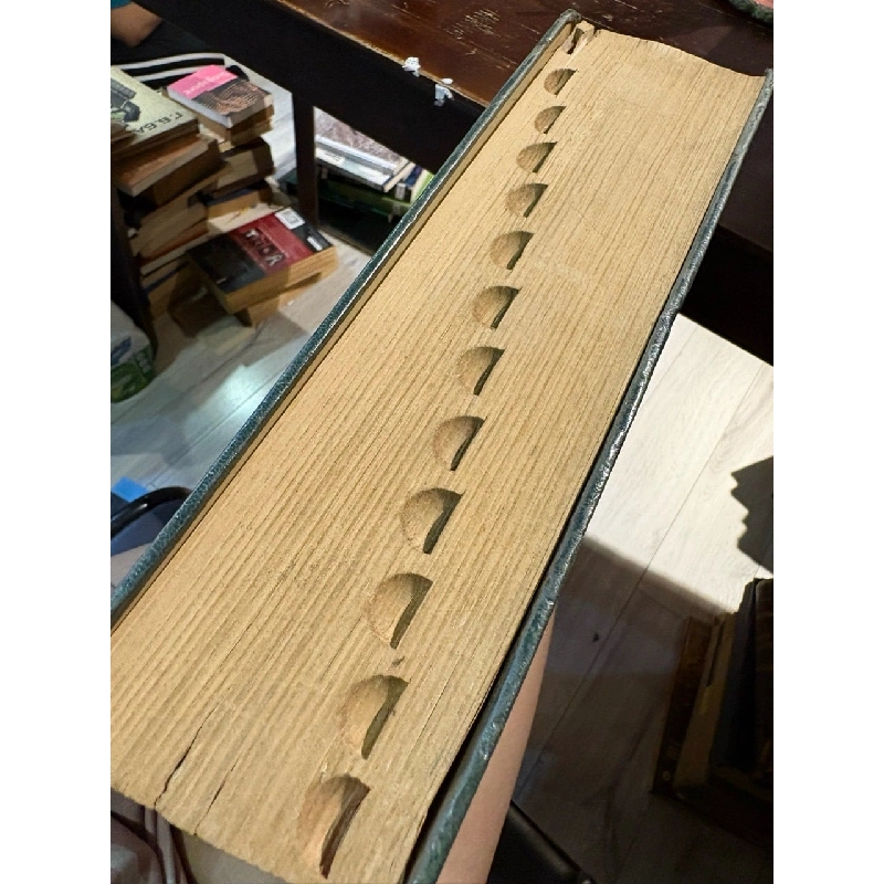 The merck index - Martha Windholz 1011516