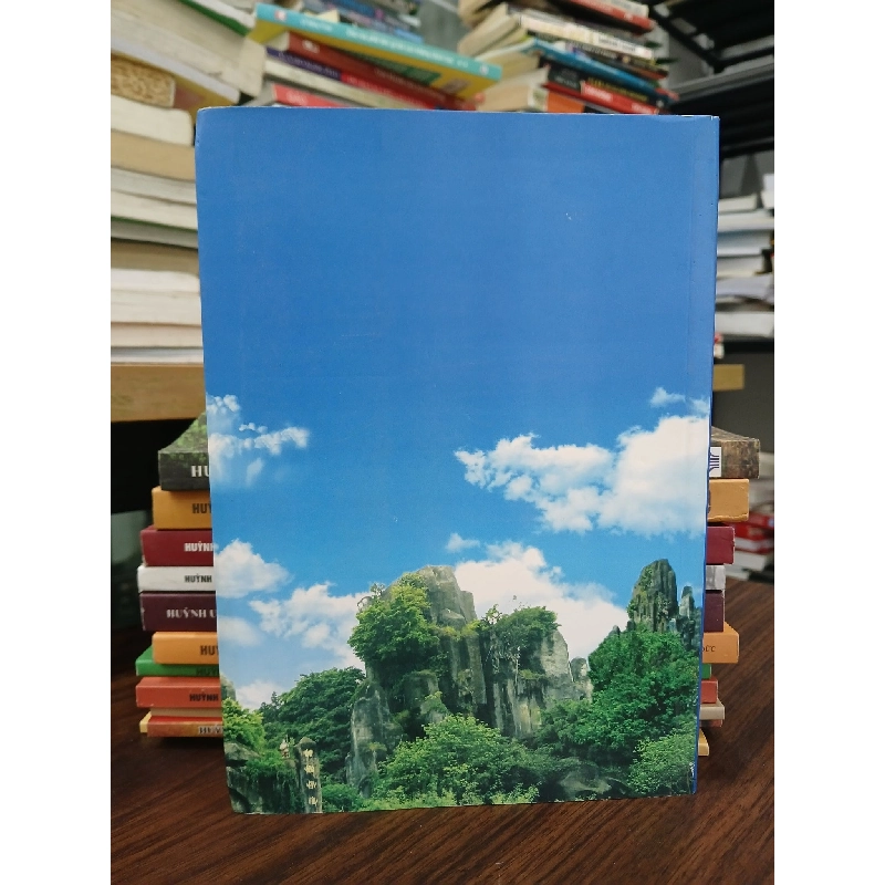 Long hoa trẩy hội - Huỳnh Uy Dũng 790491