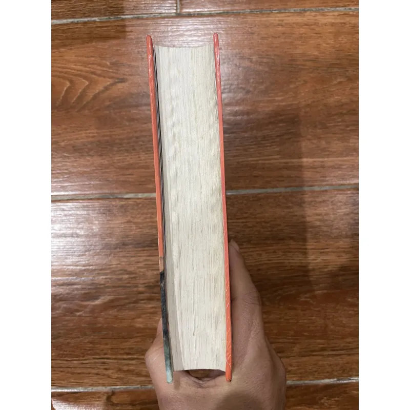 Tiếng chim hót trong bụi mận gai (14) 762301