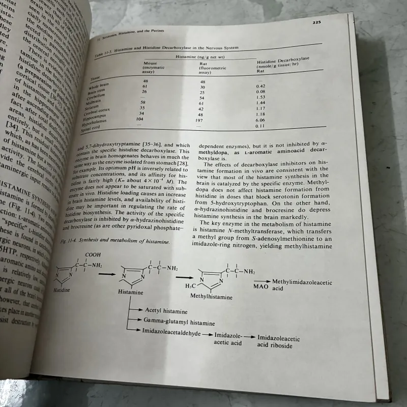 Basic Neurochemistry (Hoá học thần kinh cơ bản) 1040857