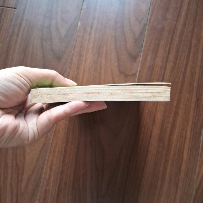 Dưới mắt tôi 505345