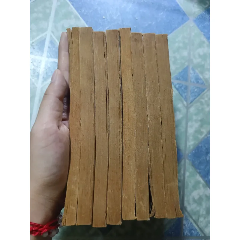 Tiếng sáo ma ( 8 tập) 992917