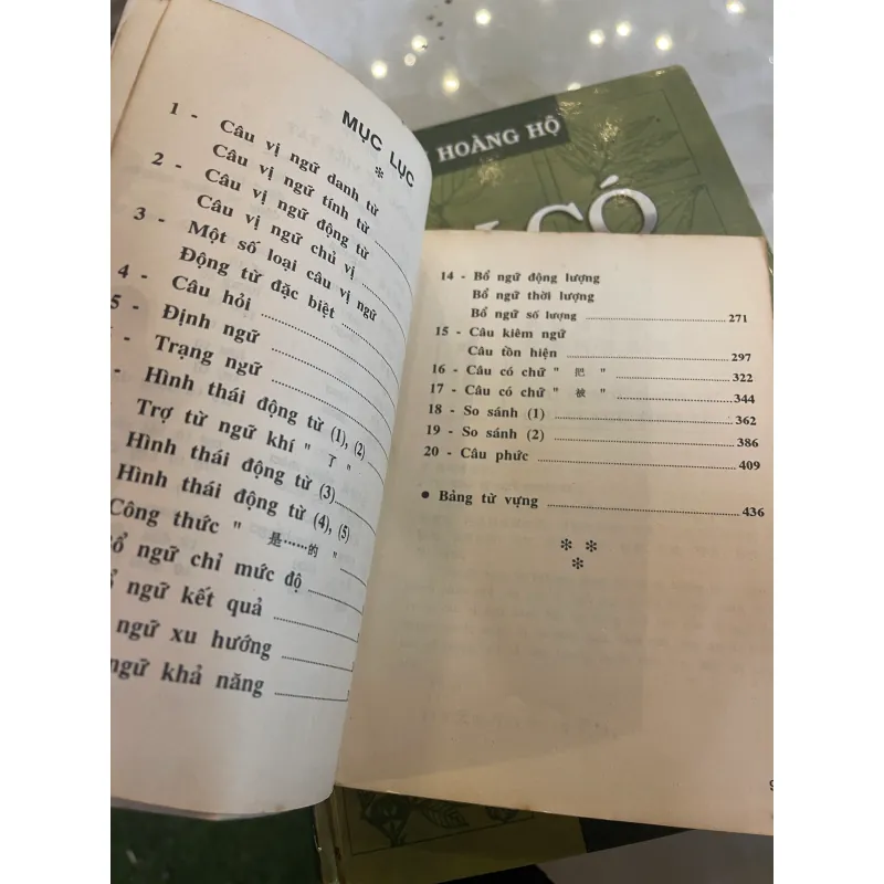 VĂN PHẠM HÁN NGỮ HIỆN ĐẠI - NGUYỄN VĂN ÁI, TRẦN XUÂN NGỌC LAN dịch   1031514