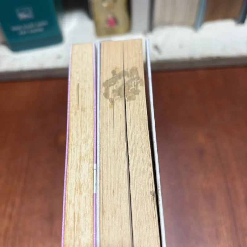 II Combo Tác Phẩm Của Tác Giả Y Ban: ABCD Và Người Đàn Bà Và Những Giấc Mơ - 2014 907630