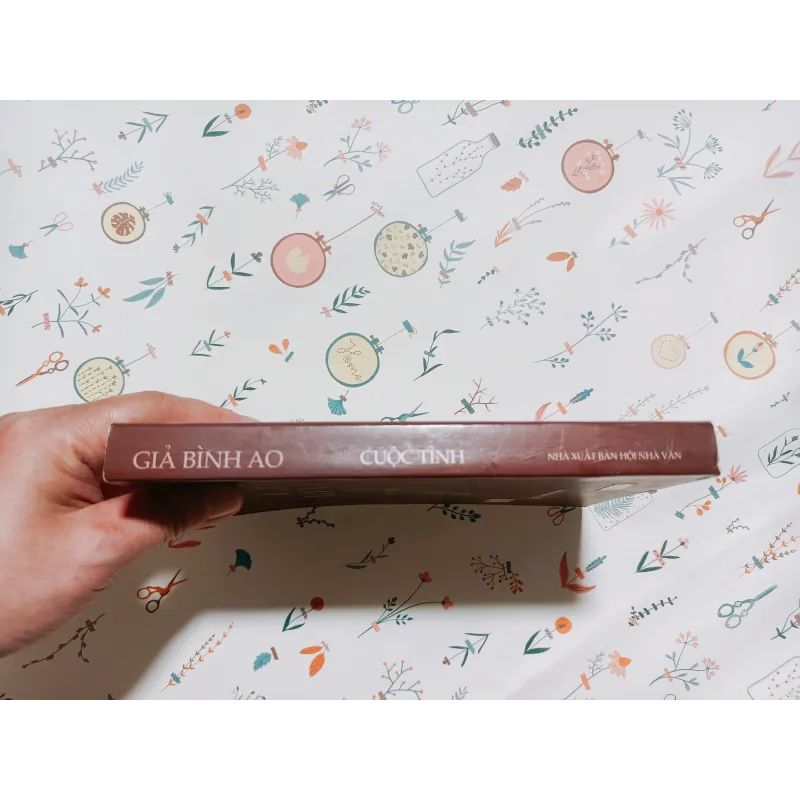 Cuộc Tình - Giả Bình Ao 782204