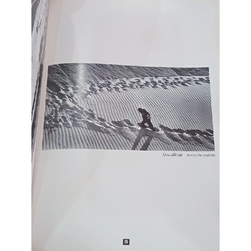 Ảnh Đỗ Ngọc 549408