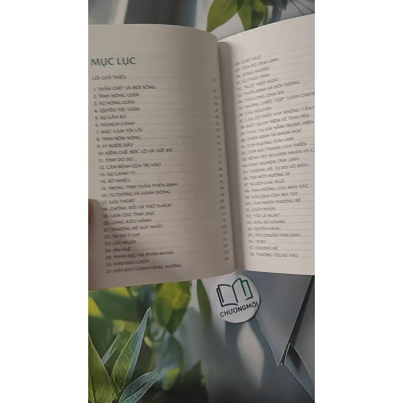 Minh Triết Trong Đời Sống - Nguyên Phong 961187