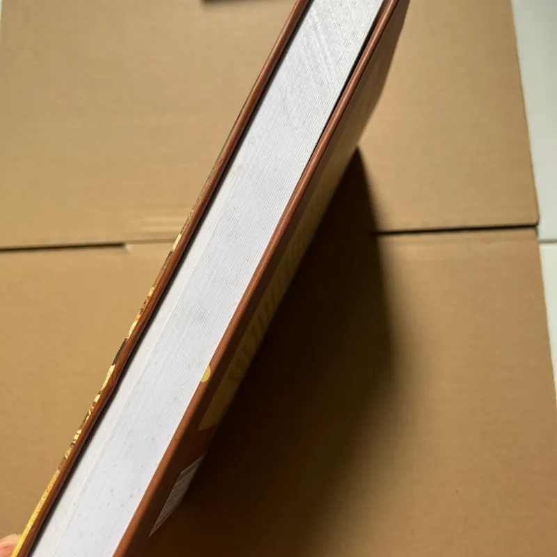 Bàn về chính quyền (sách ẩm nặng) 747068