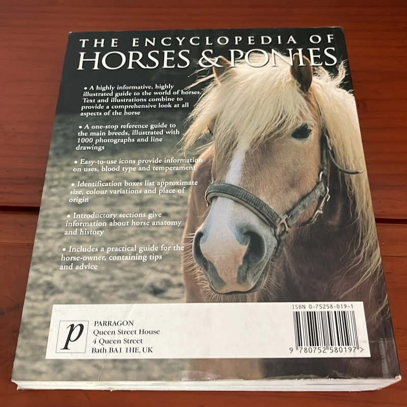 PICTURE BOOK The encyclopedia of horses & ponies 536856