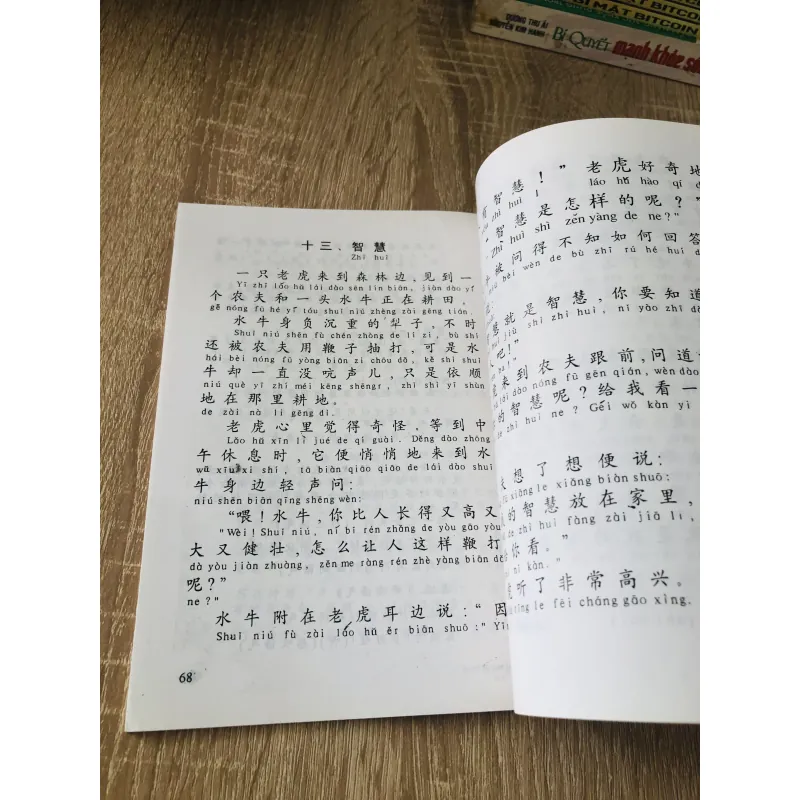 TIẾNG HOA - in giấy bóng  1022394