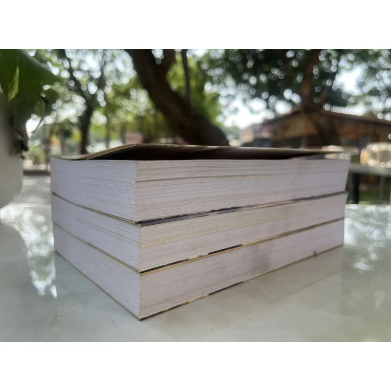 MỘT CUỘC ĐỜI MỘT VẦNG NHẬT NGUYỆT - MINH ĐỨC, TRIỀU TÂM ẢNH 1029948