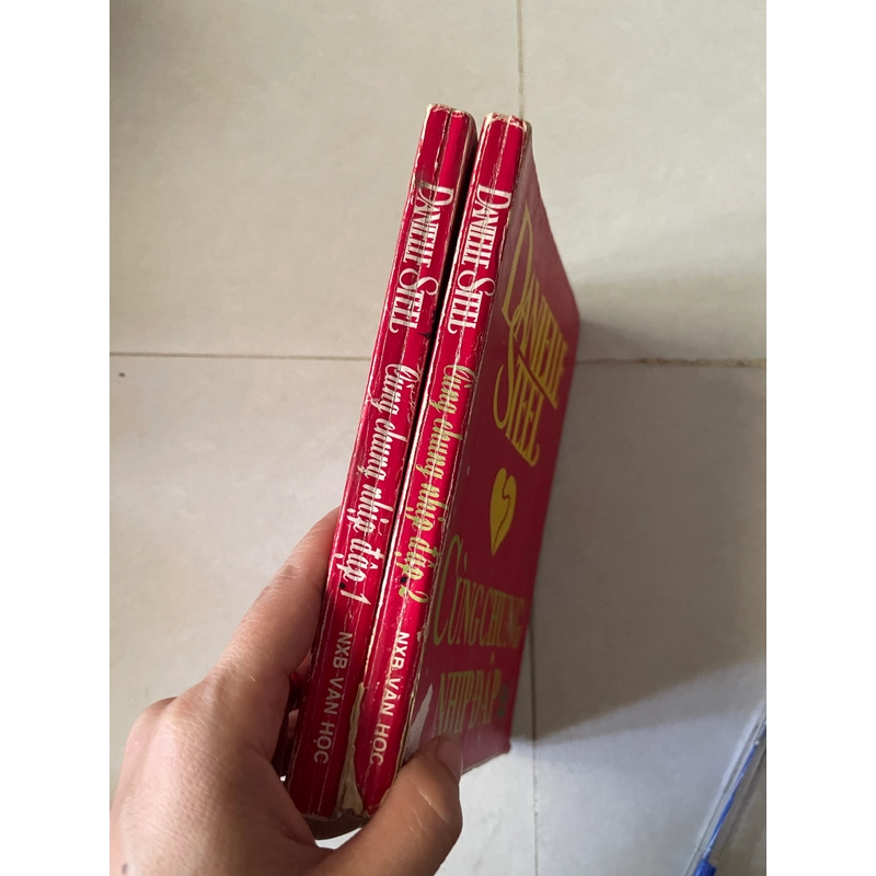 DANIELLE STEEL(cùng chung nhịp đập ) 553119