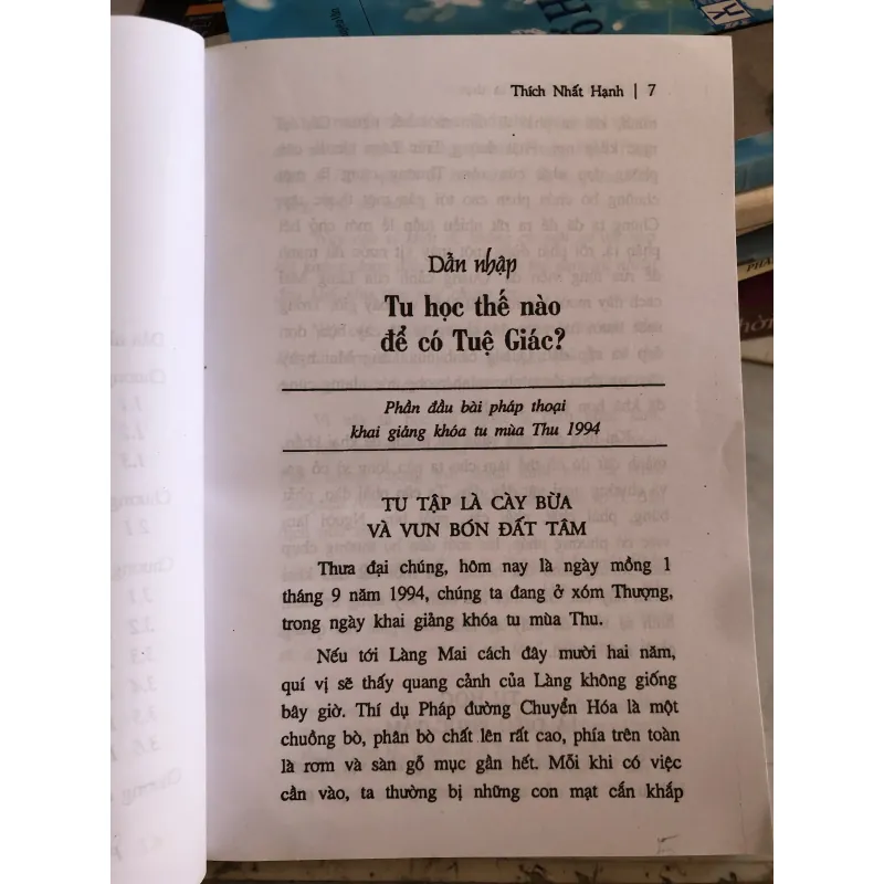 Hạnh phúc Mộng và Thực - Thích Nhất Hạnh  1026616