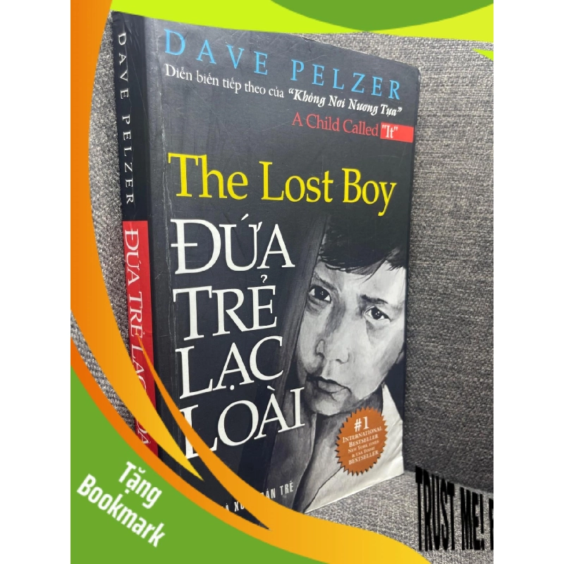 (TẶNG BOOKMARK) Đứa trẻ lạc loài Dave Pelzer 2009 mới 80% bẩn cong ẩm nhẹ RBK1305 943574