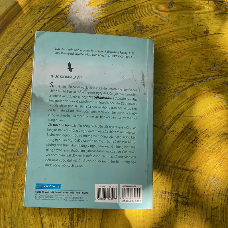 CỞI TRÓI LINH HỒN - MICHAEL A. SINGER 735846