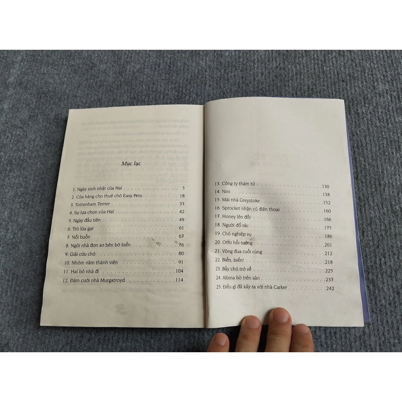 CẬU BÉ VÀ CHÚ CHÓ NHỎ - EVA IBBOTSON 552737