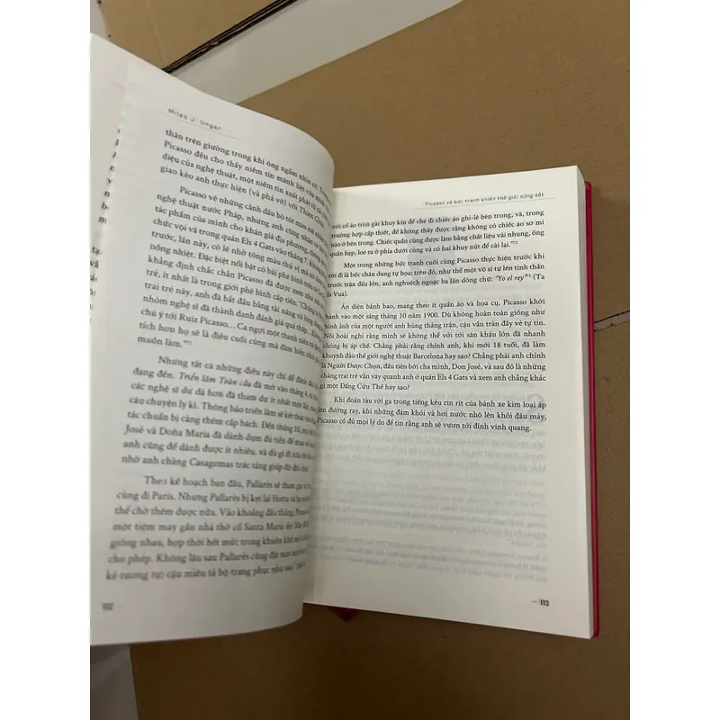 Picasso và bức tranh khiến thế giới sửng sốt 569048