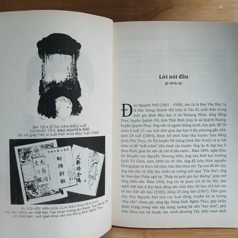 Đình Nguyên Hoàng Giáp Đào Nguyên Phổ 1030472