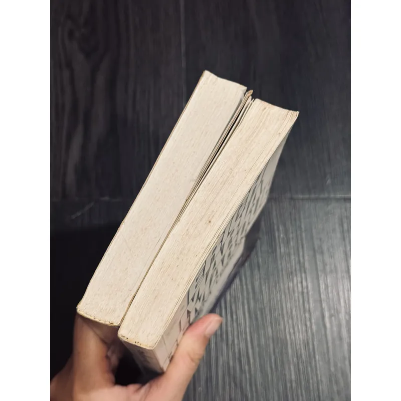 Combo E.M. Remarque 596375