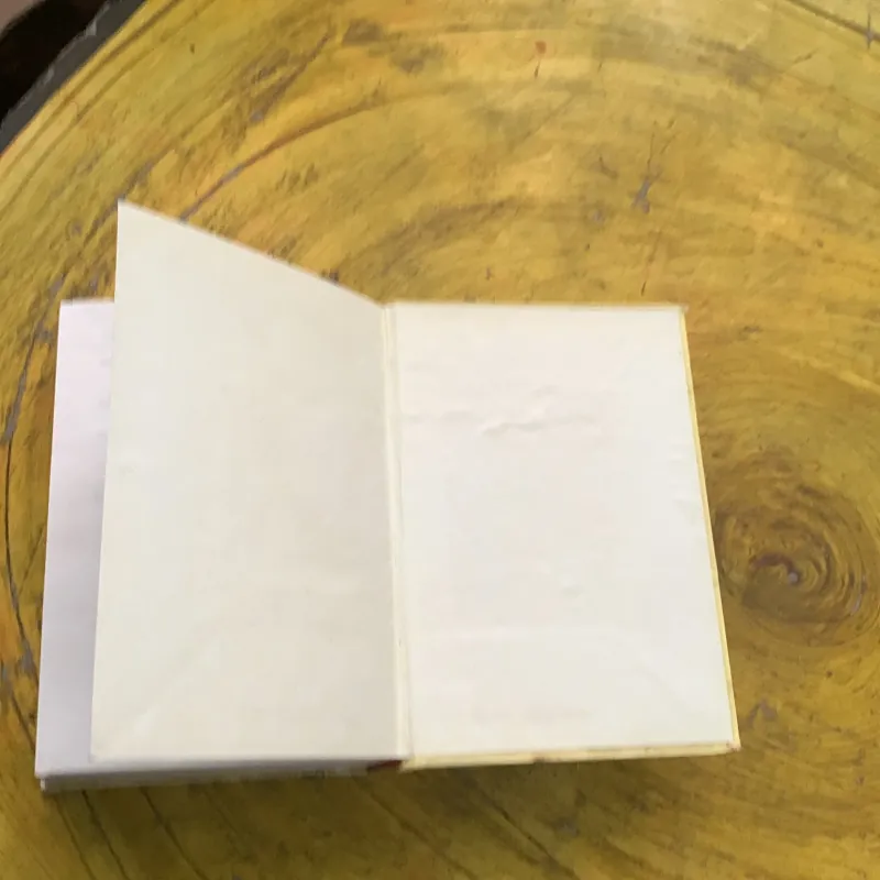 DANH NHÂN HỒ CHÍ MINH TẬP 1- nhóm biên soạn 780104