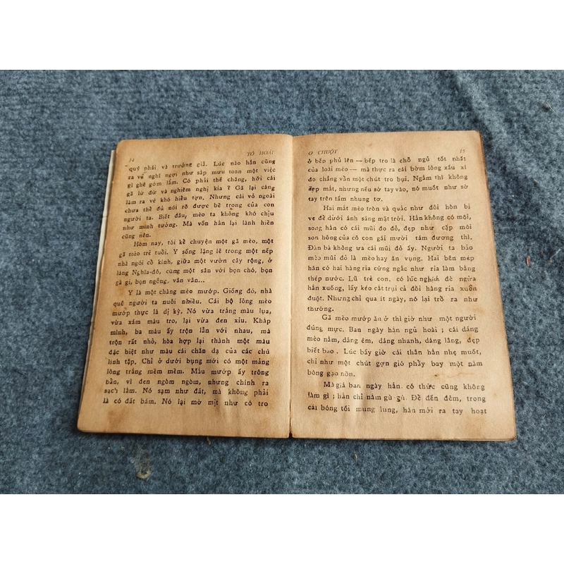 O CHUỘT - TÔ HOÀI 478537