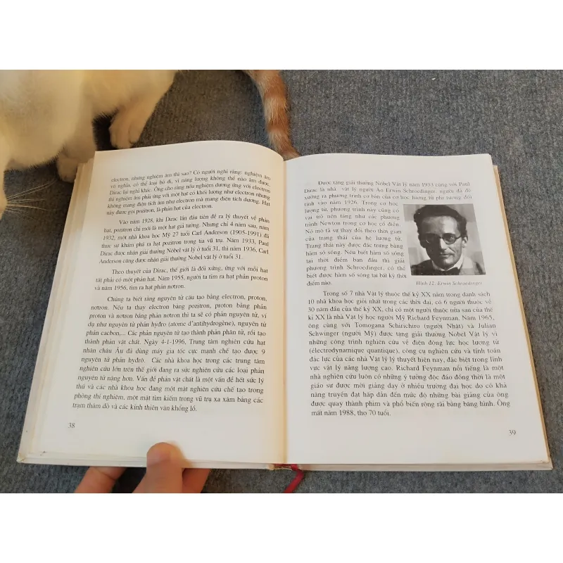 NĂNG LƯỢNG NGUYÊN TỬ VÀ ĐỜI SỐNG - GS.TS. ĐINH NGỌC LÂN 727184