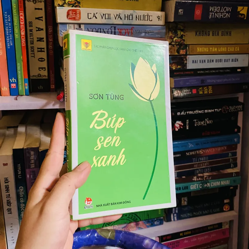 Búp sen xanh - Sơn Tùng   454613