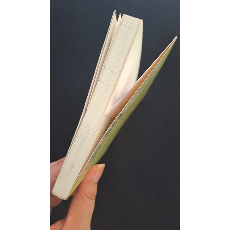 Không diệt, không sinh, đừng sợ hãi - Thích Nhất Hạnh 524244