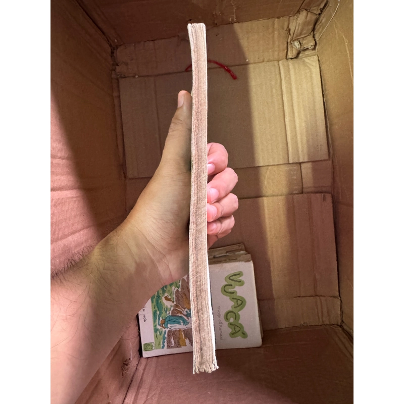 Truyện dân gian Robin Lục Lâm 447621